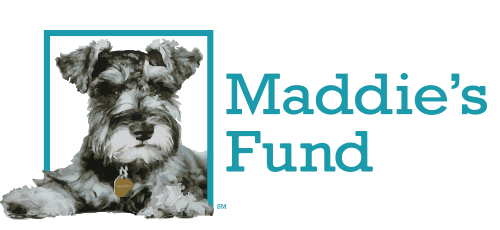 maddies-fund.png