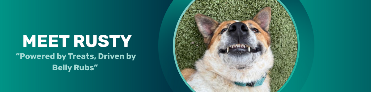 Rusty pet of the week