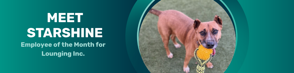 pet of the week