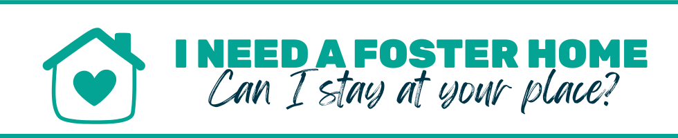 foster homes needed
