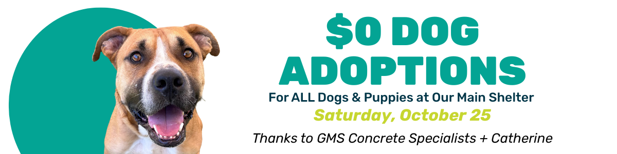 october 25 zero dollar adoption