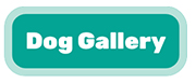 aawl-met-life-banner-dog.jpg
