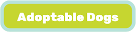 2026-08-adoption-event-btn-rs.png