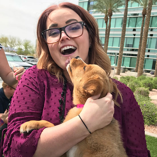 Foster dogs and cats in Phoenix AZ