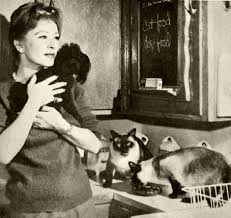 amanda_blake_w_cat_dog_2.jpg