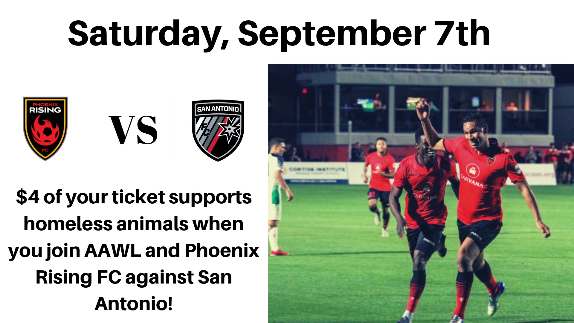 Arizona business tax id