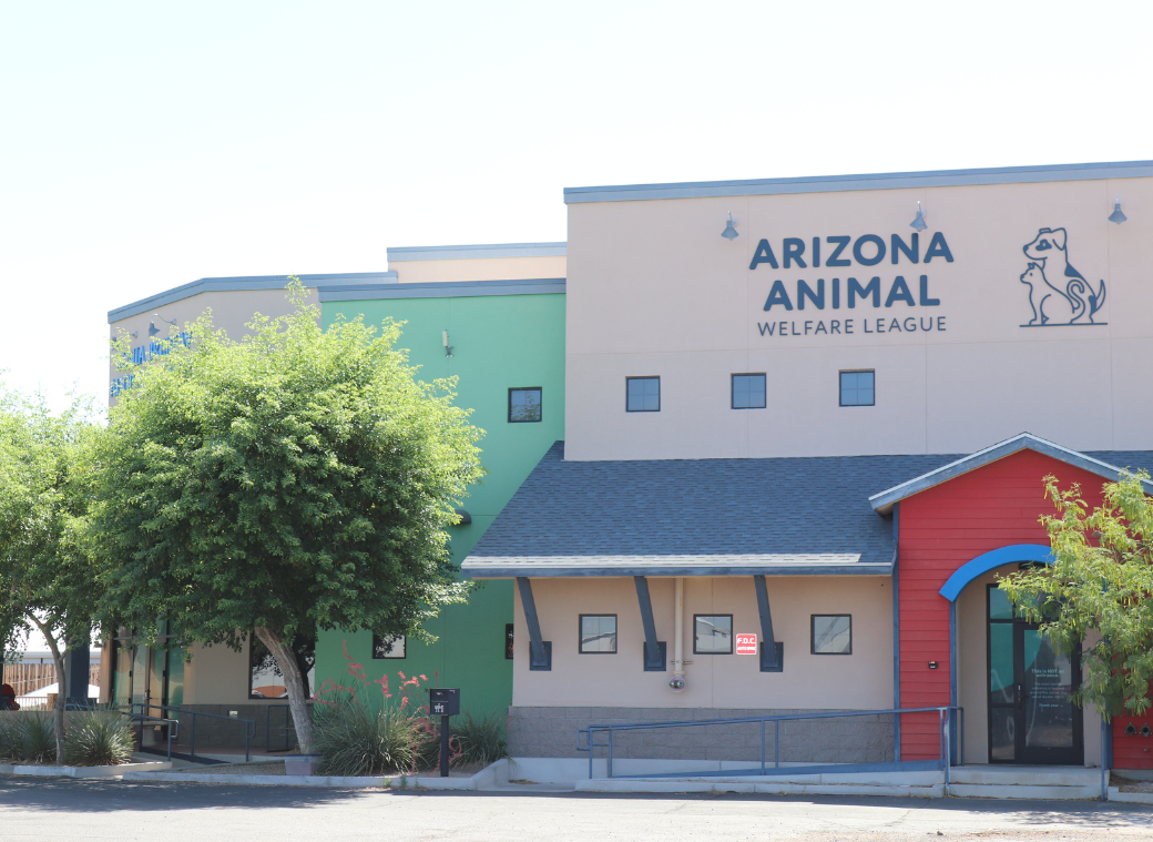 Pet welfare adoption sales center