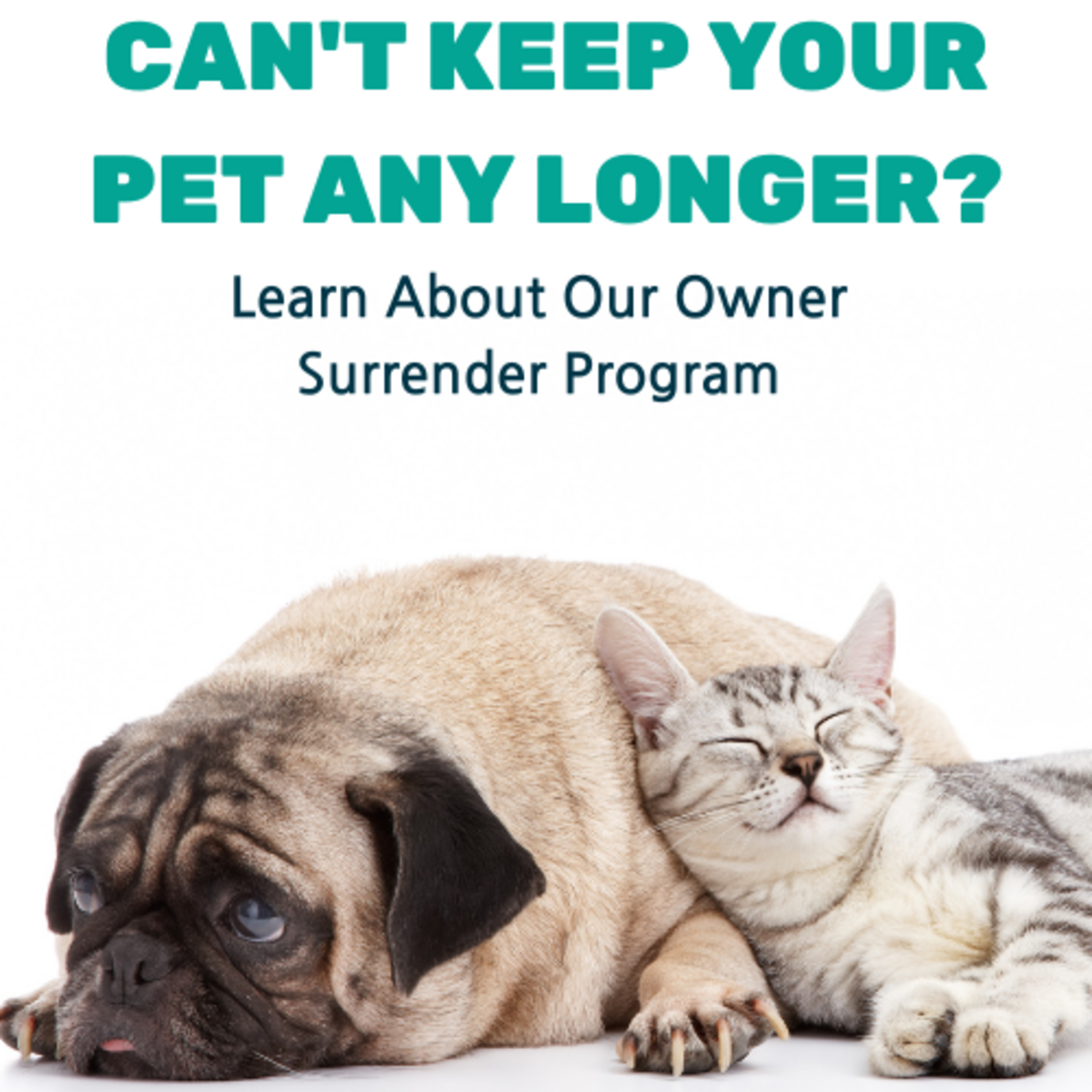Phoenix Pets - Owner Surrender
