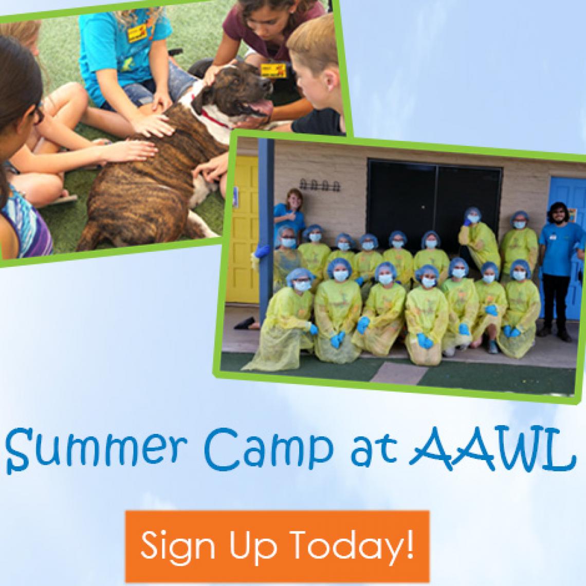 Arizona Animal Welfare League