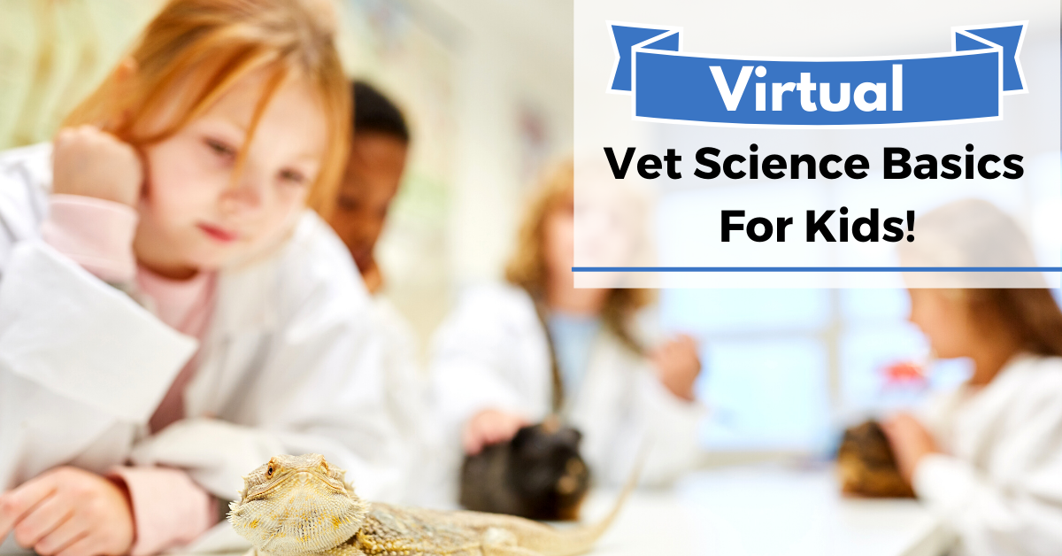 Veterinary Science Basics | Arizona Animal Welfare League