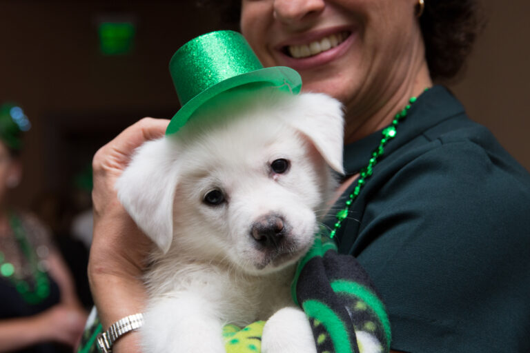 A smiling person holds a fluffy white puppy wearing a sparkly green top hat.