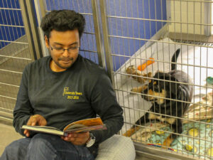 A man sits reading a book while a puppy rests in a kennel behind him.