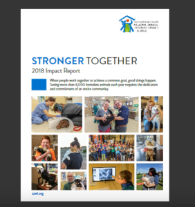 A report cover highlights animal welfare efforts with photos of staff and rescued animals.