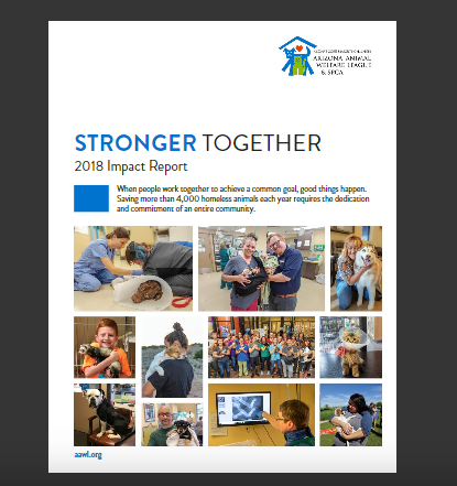 A report cover highlights animal welfare efforts with photos of staff and rescued animals.