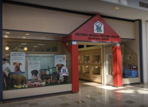 Arizona Animal Welfare League Adoption Center storefront with dogs and New Year's Resolution signs visible inside.