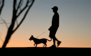 A person wearing a baseball cap walks a dog at sunset, silhouetted against a colorful sky.
