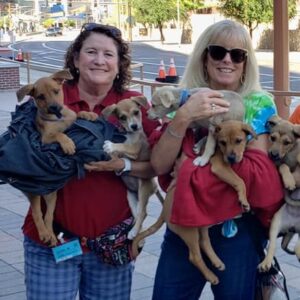 Two women smile while holding and carrying several adorable, small, tan-colored puppies.