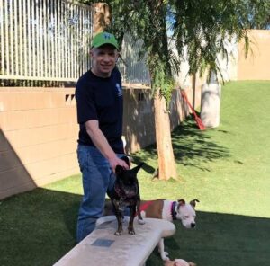 A man in a green hat stands with a dog on a picnic table in a grassy outdoor area.