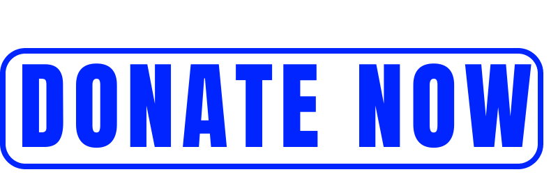 Donate Now button