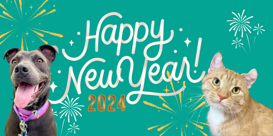 Graphic reading 'Happy New Year 2024' with a gray pit-bull-type dog and an orange tabby cat.