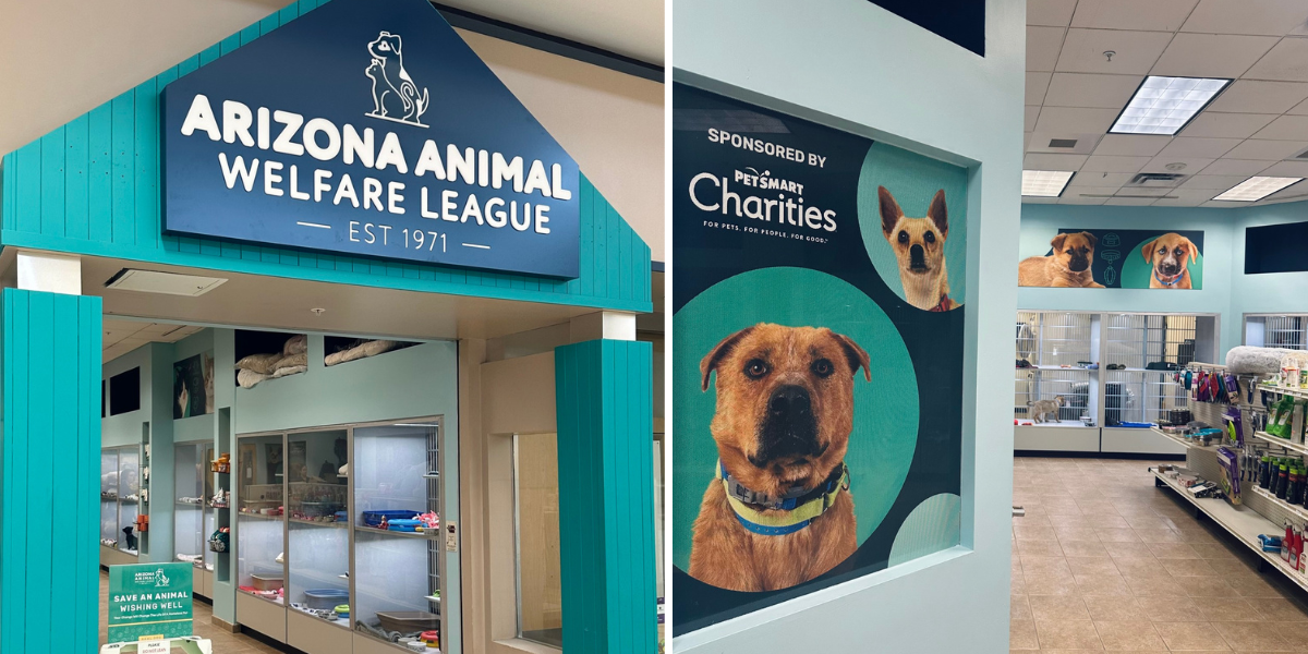 Chandler Adoption Center Entrance