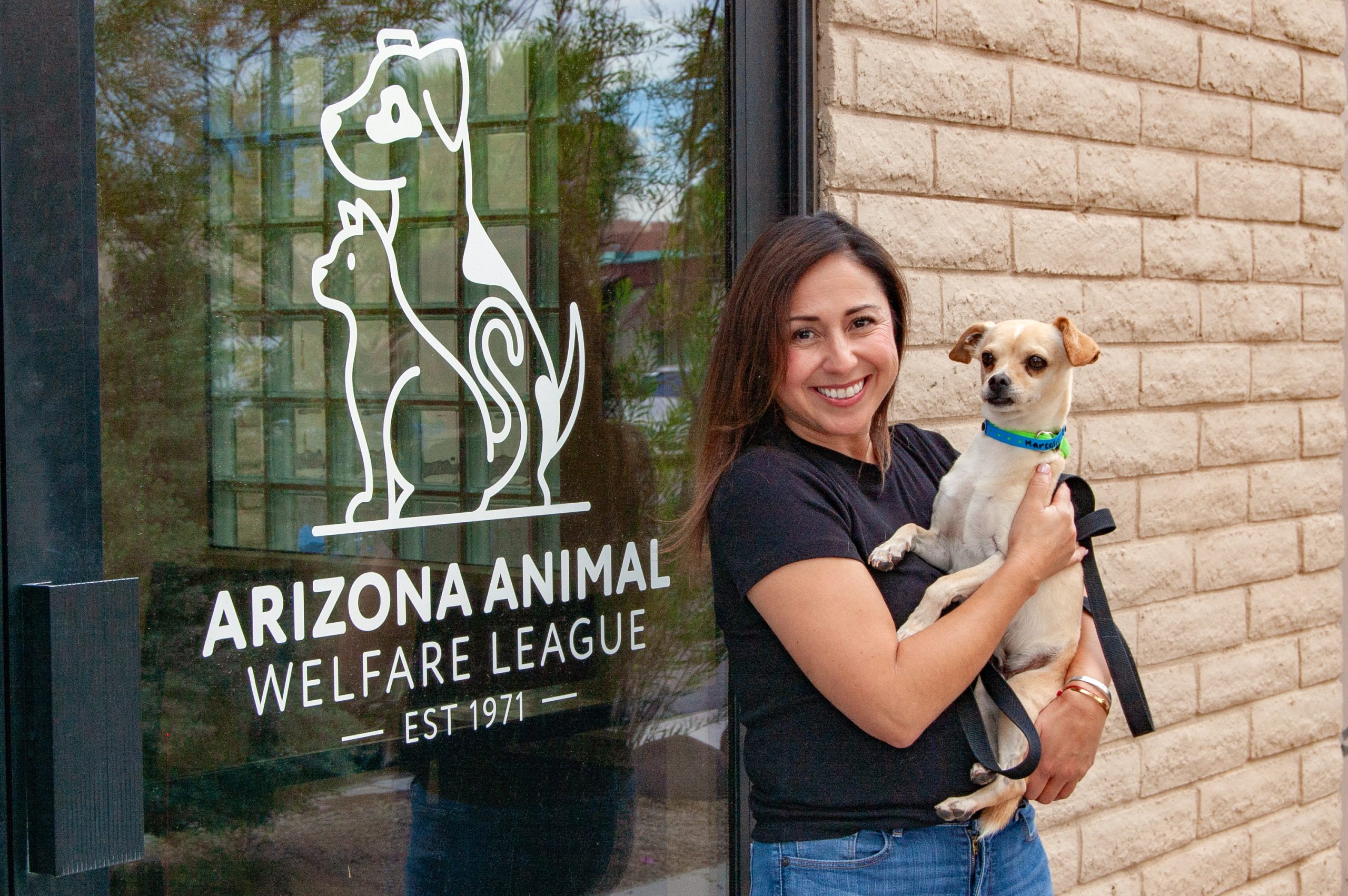 A woman holds a small tan chihuahua mix beside the Arizona Animal Welfare League entrance sign