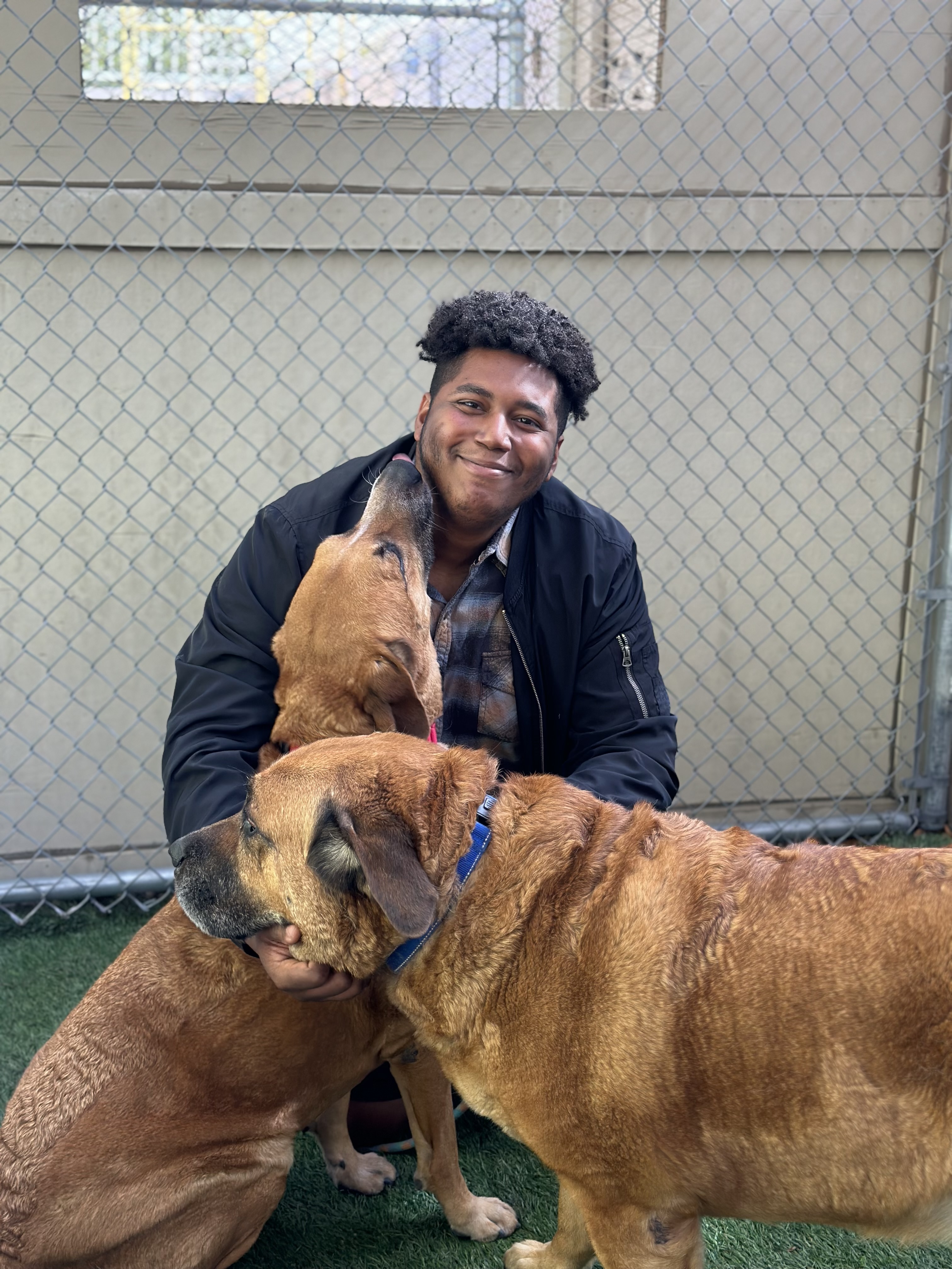 Malik, AAWL Animal Care Technician