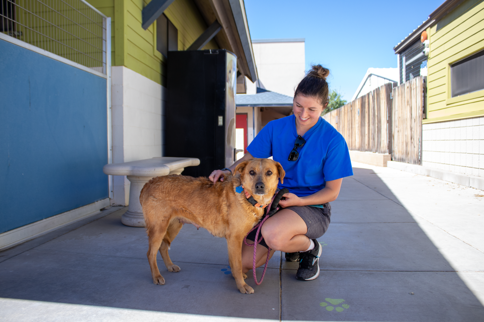 A staff member crouches to pet a tan dog on a sidewalk between shelter buildings