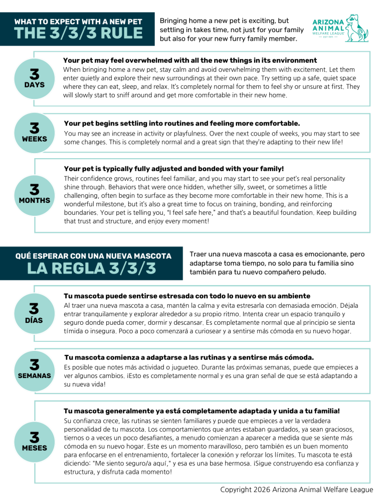 First page of the What to Expect with a New Pet: The 3/3/3 Rule handout