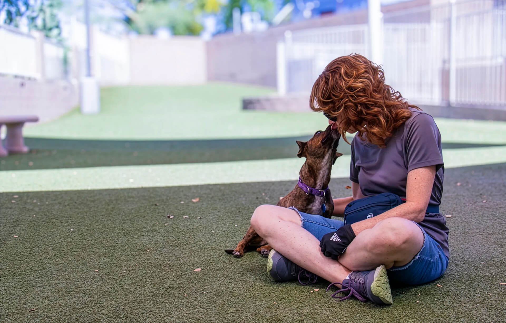 A woman with curly red hair sits cross-legged on the turf while a brindle dog licks her face
