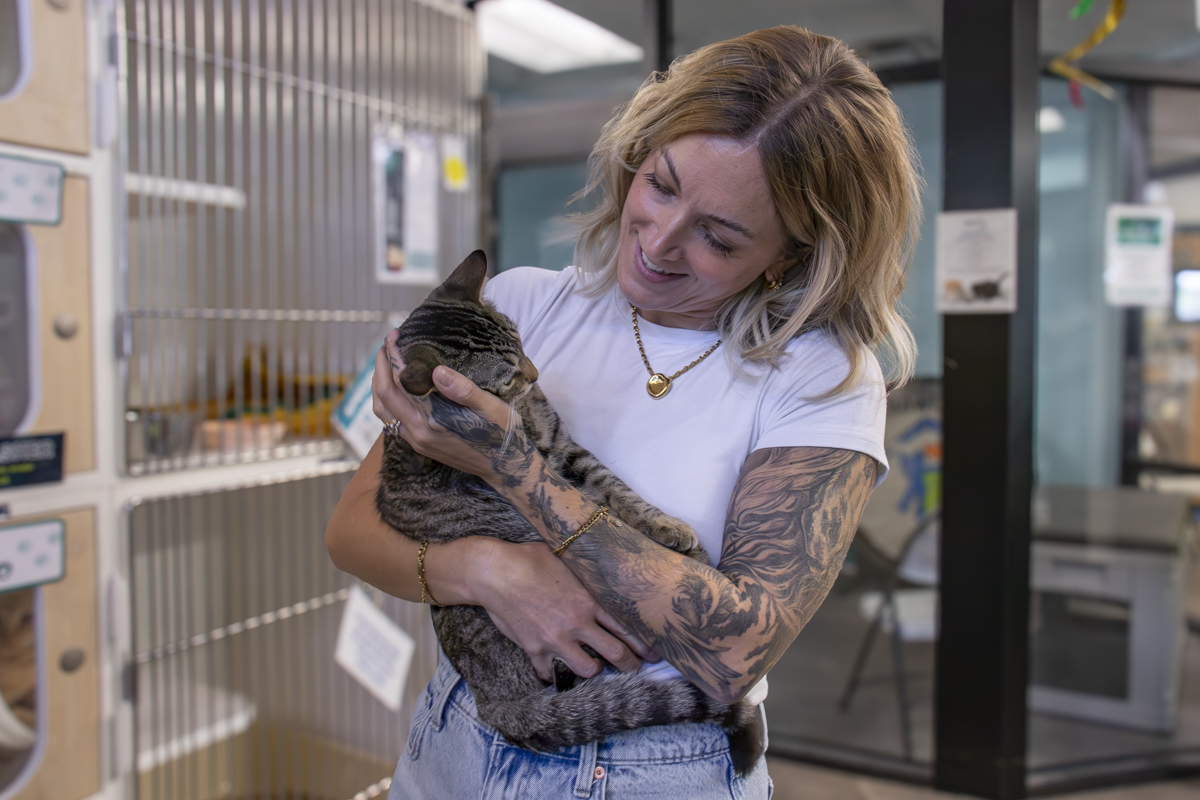 Una mujer sostiene en brazos a un gato atigrado en la sala de gatos de AAWL