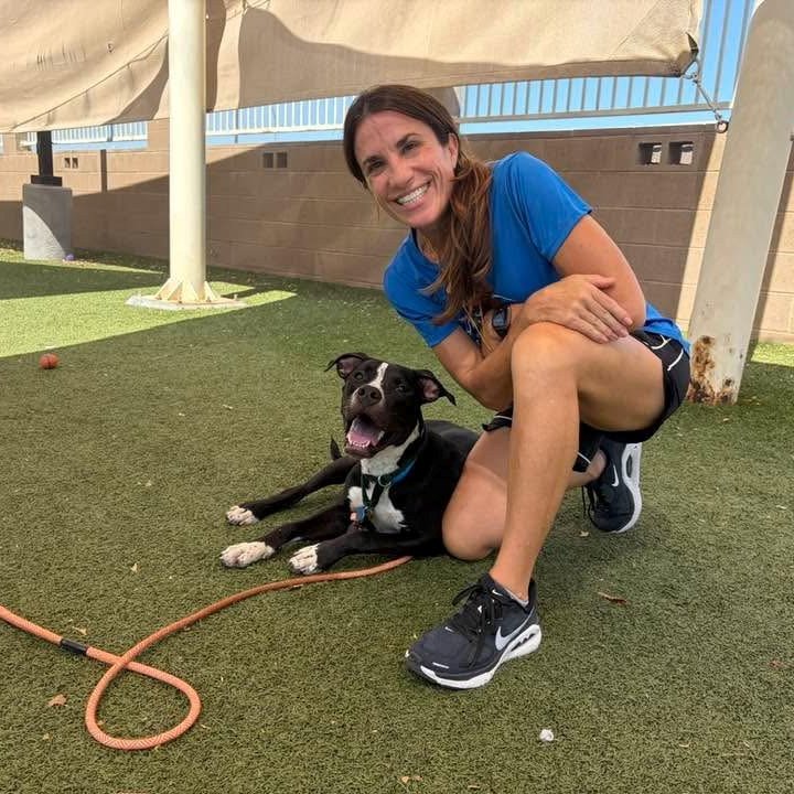 A volunteer kneels on the turf beside a black and white dog in the shelter play yard