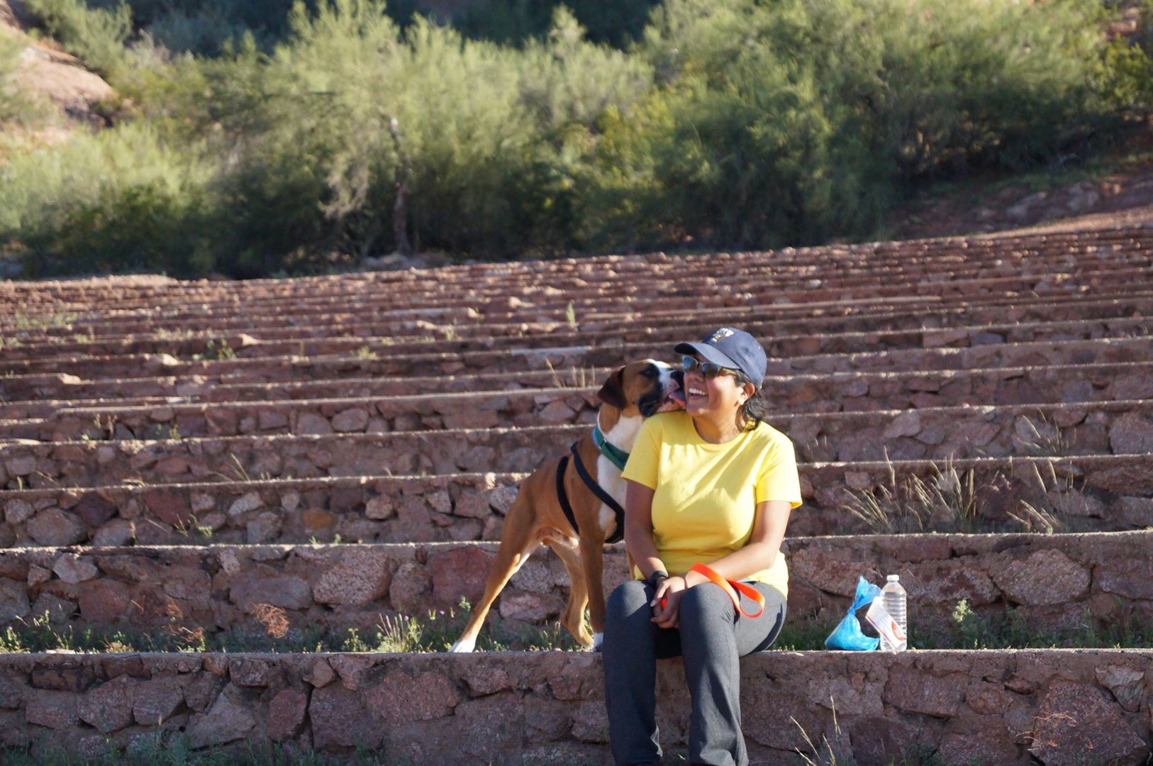 Una voluntaria con camiseta amarilla ríe mientras un perro bóxer mestizo se acerca a lamerle la mejilla, sentados juntos en unos escalones de piedra al aire libre