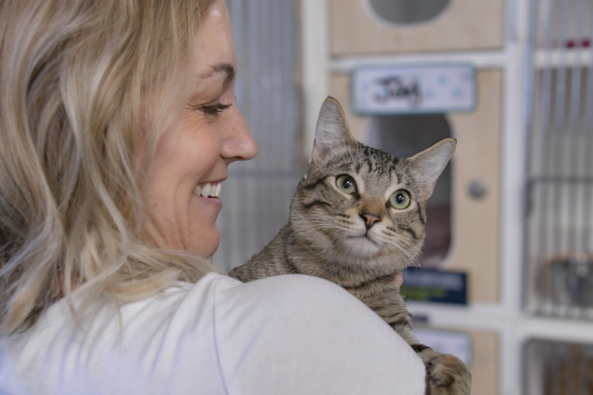 A smiling woman holds a brown tabby cat against her shoulder in front of the shelter cat condos