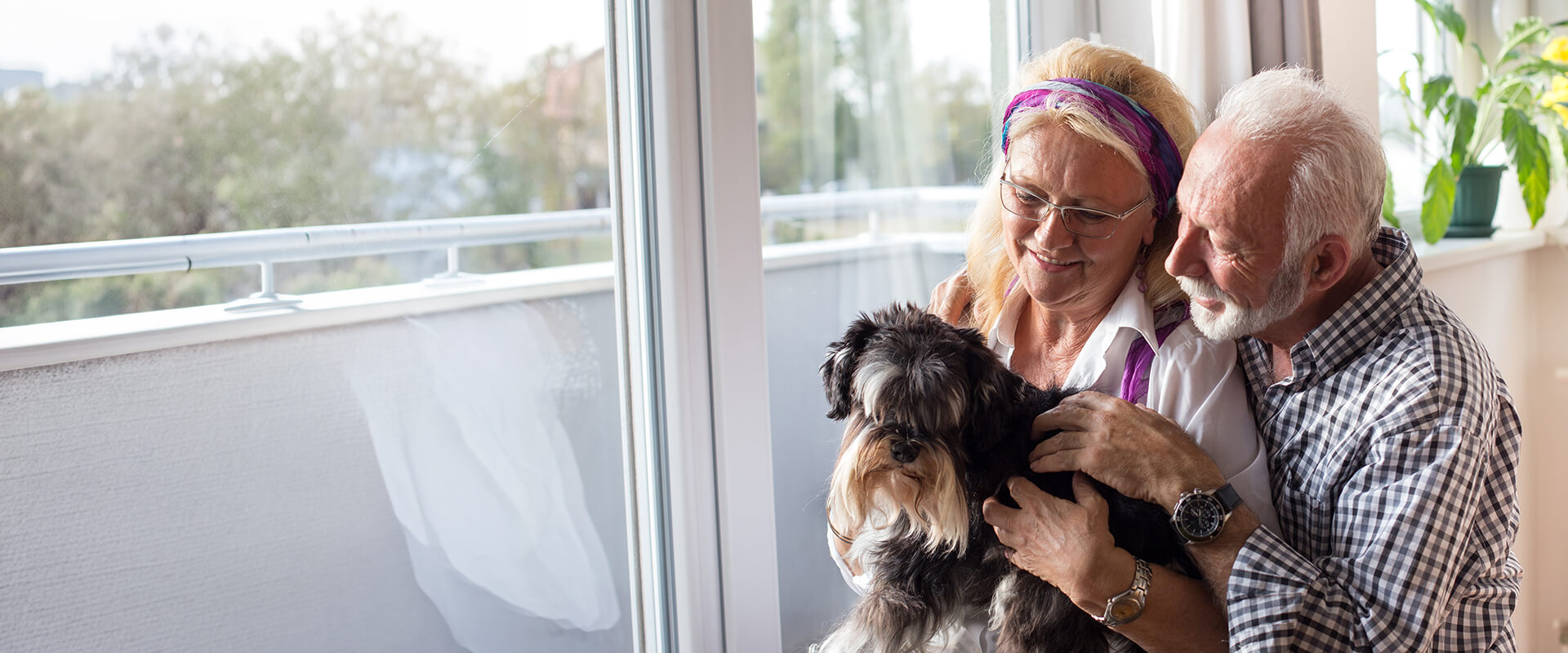 An older couple sit together by a sunlit window with their grey schnauzer