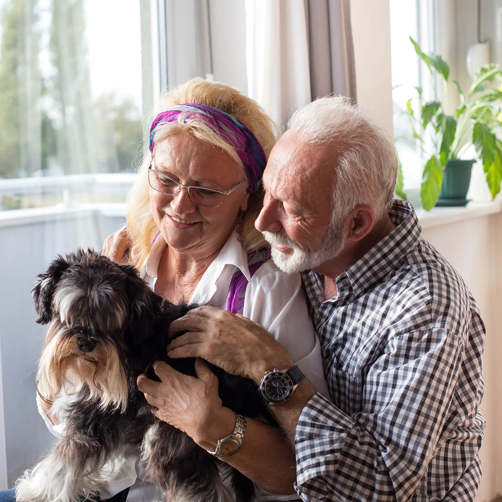 An older couple hold their grey schnauzer close while sitting by a sunlit window