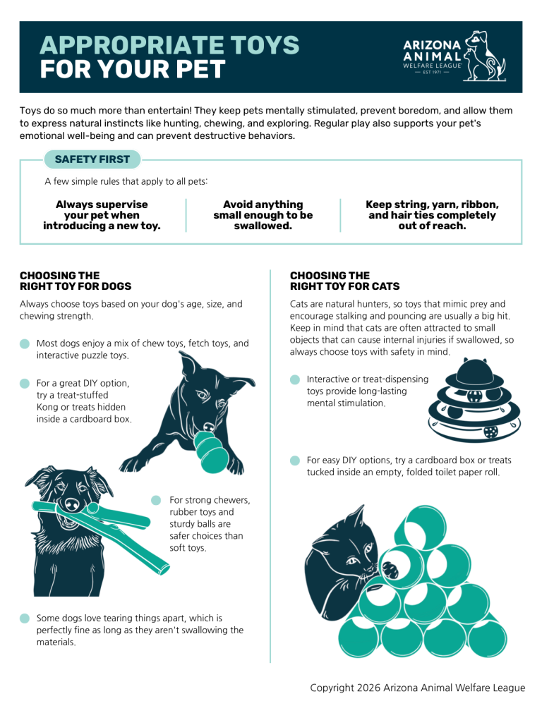 First page of the Appropriate Toys for Your Pet handout