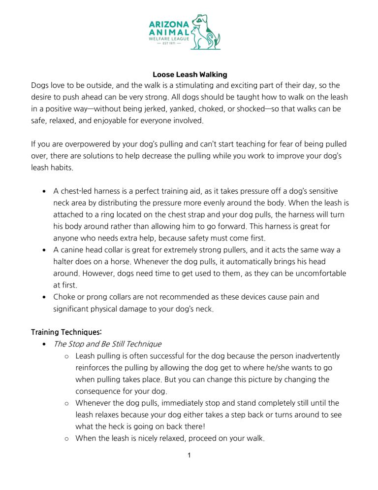 First page of the Loose Leash Walking handout