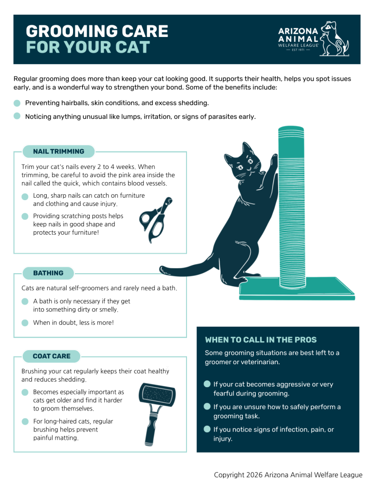 First page of the Grooming Care for Your Cat handout