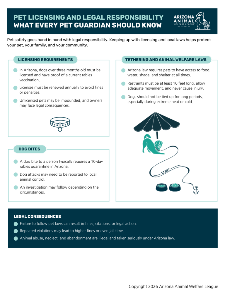 First page of the Pet Licensing and Legal Responsibility: What Every Pet Guardian Should Know handout