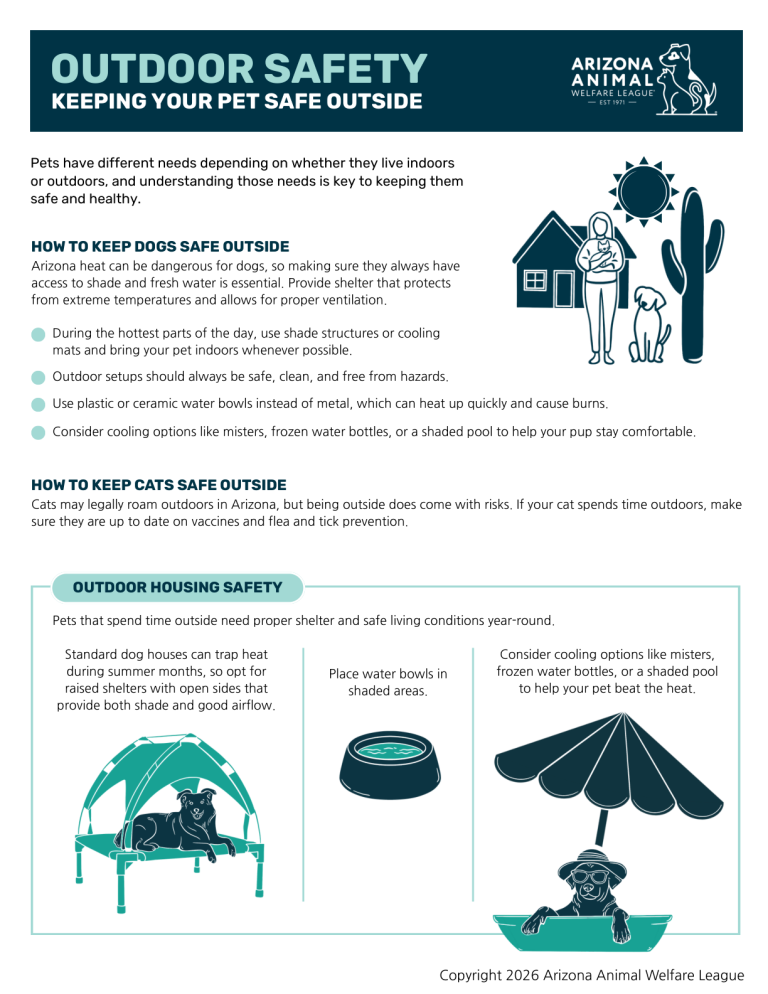 First page of the Outdoor Safety: Keeping Your Pet Safe Outside handout