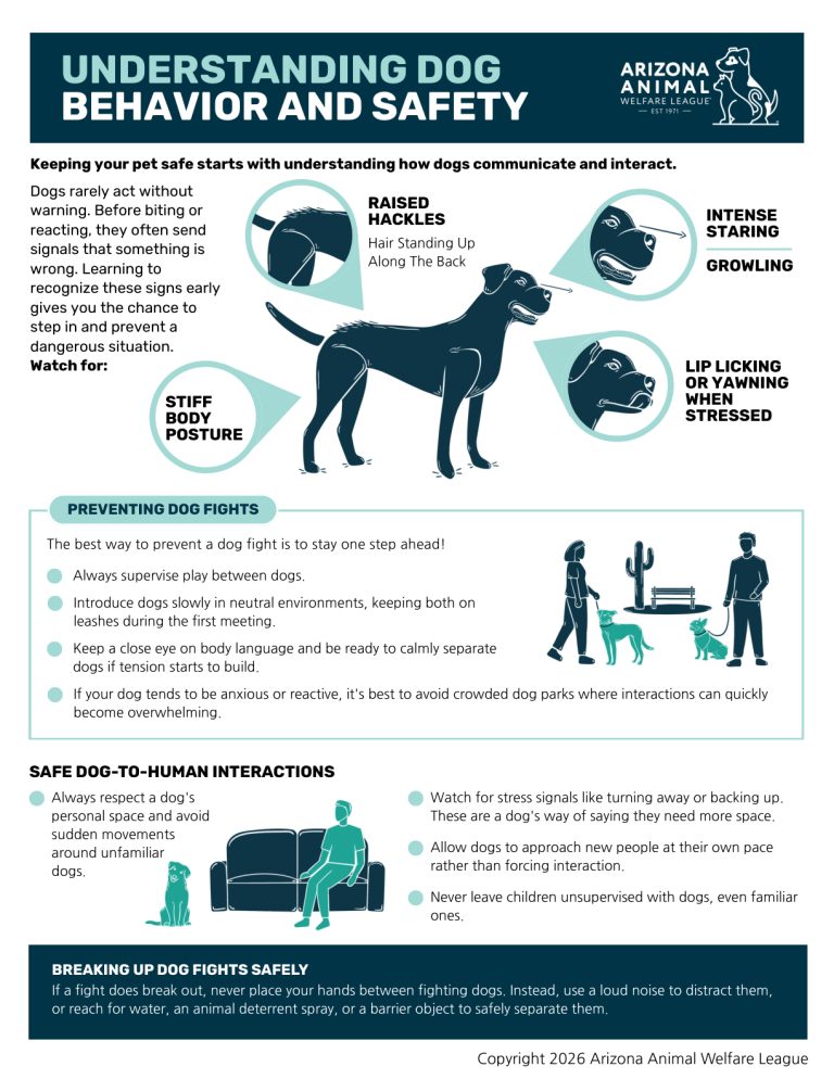 First page of the Understanding Dog Behavior and Safety handout