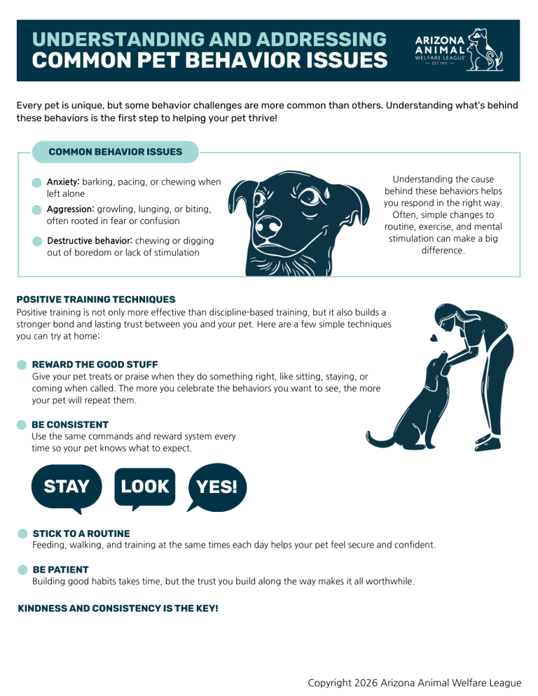 First page of the Understanding and Addressing Common Pet Behavior Issues handout