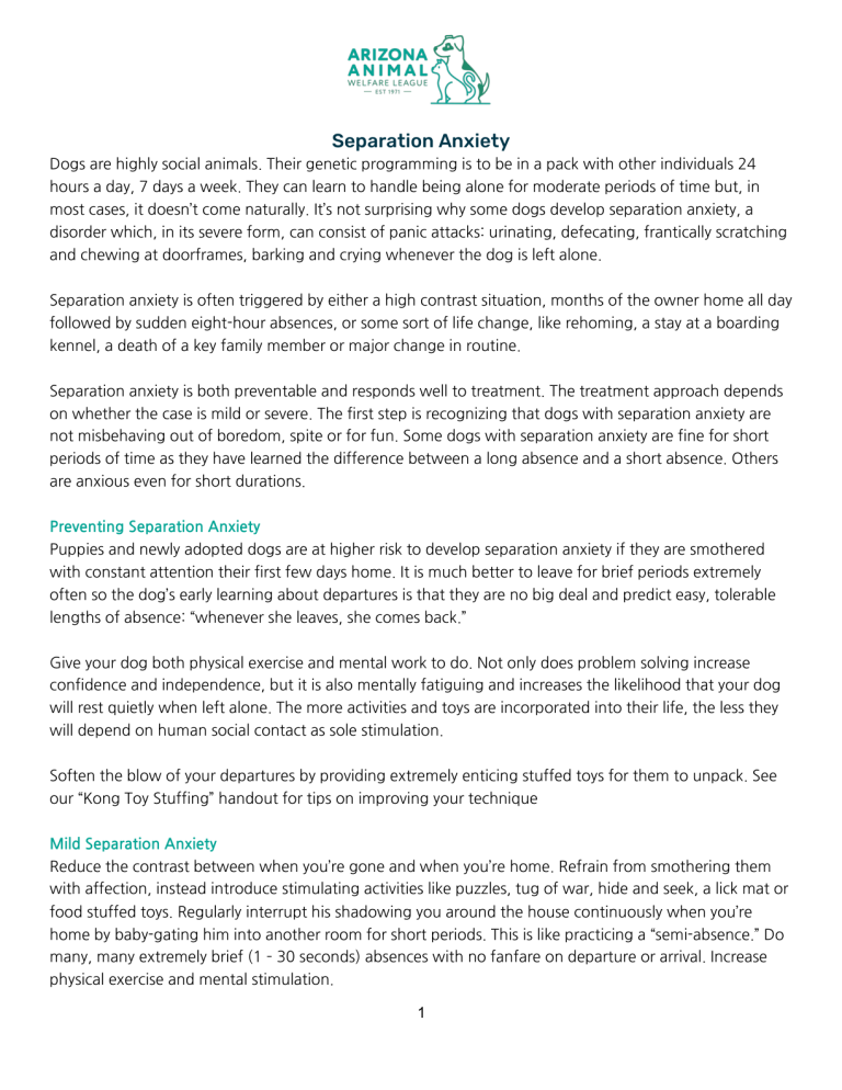First page of the Separation Anxiety handout