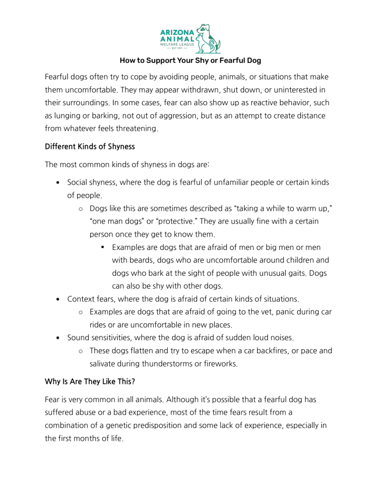 First page of the How to Support Your Shy or Fearful Dog handout