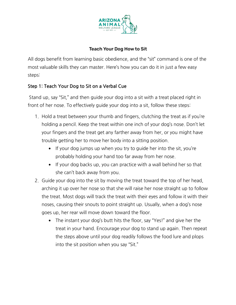 First page of the Teach Your Dog How to Sit handout