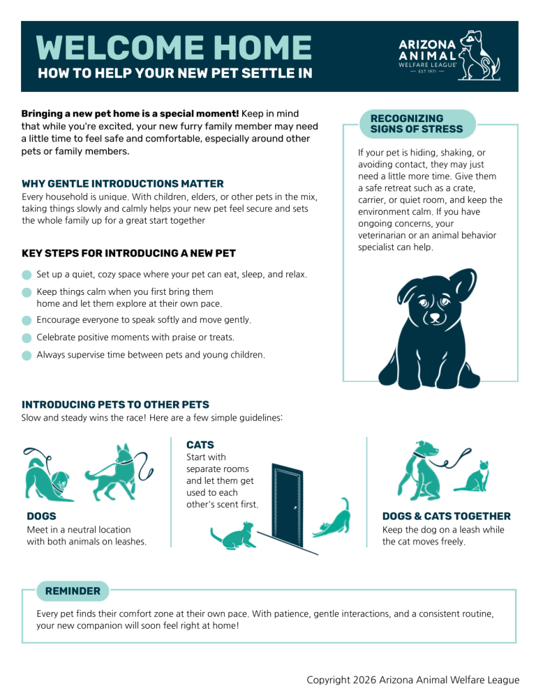 First page of the Welcome Home: How to Help Your New Pet Settle In handout