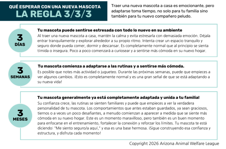 Primera página del folleto ¿Qué esperar con una nueva mascota: La Regla 3/3/3