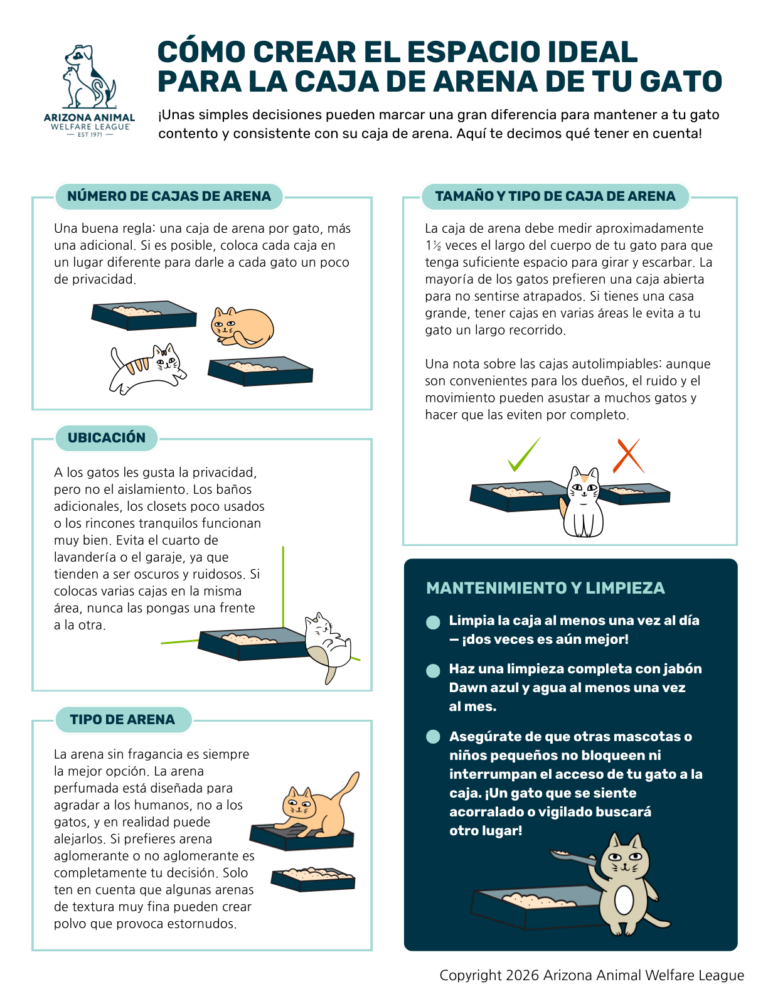 Primera página del folleto Cómo Crear el Espacio Ideal para la Caja de Arena de Tu Gato