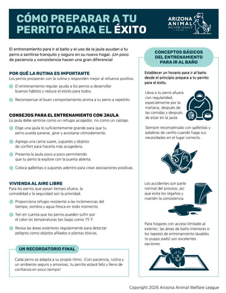 Primera página del folleto Cómo Preparar a Tu Perrito Para el Éxito